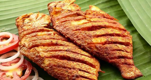 Cá nấu chín bằng bếp cata có thể để được bao lâu?
